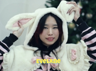 Evelane