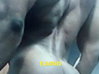 Flamin