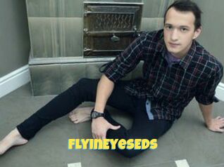 FlyInEyesEds
