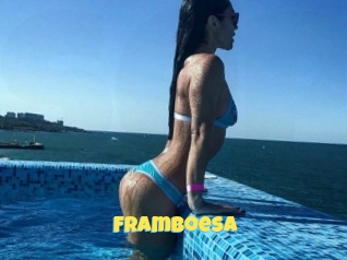 Framboesa