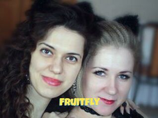 Fruitfly