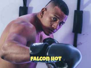 Falcon_hot
