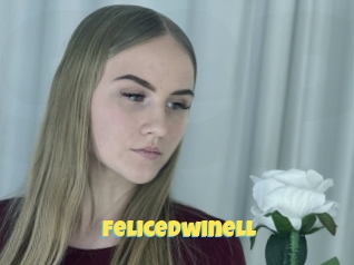 Felicedwinell