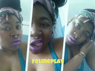 Felineplay