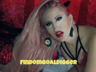Findomgoaldigger