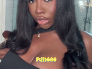 Fung8e
