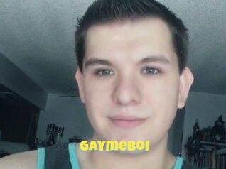 Gaymeboi