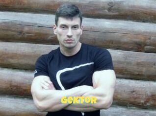 Gektor