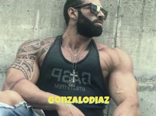 GonzaloDiaz