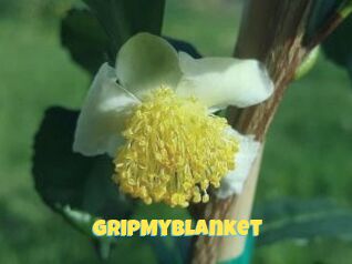 GripMyBlanket