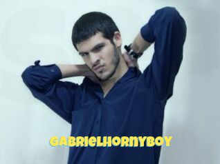 Gabrielhornyboy