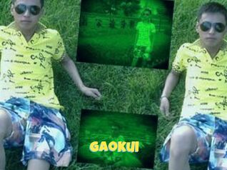 Gaokui