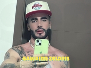 Gawainn_zeldris