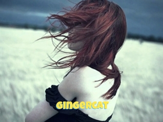 Gingercat