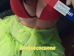 Grossecochone