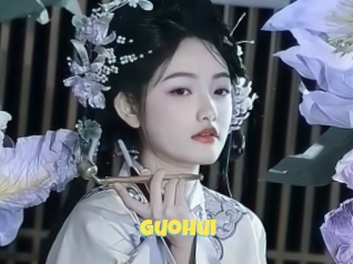 Guohui