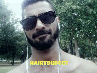 Hairydude87