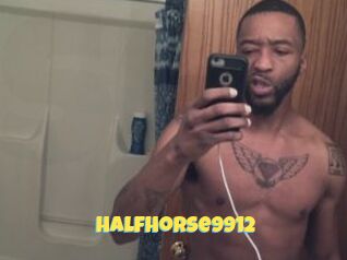 HalfHorse9912