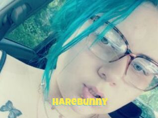 HareBunny
