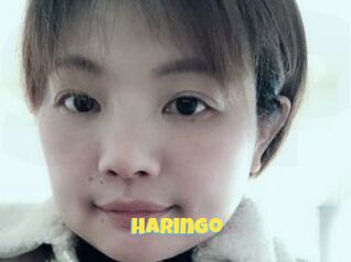 Haringo