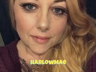 Harlow_Mae