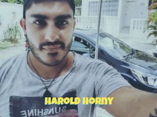 Harold_horny