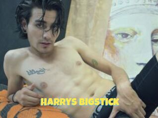 Harrys_bigstick