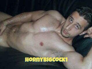 HornyBigCock1