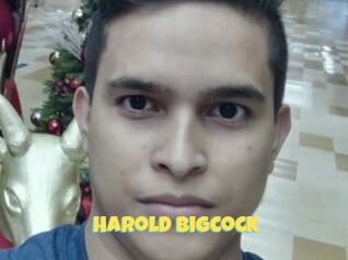 Harold_bigcock