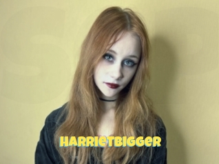 Harrietbigger