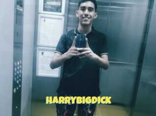 Harrybigdick