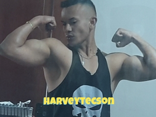 Harveytecson