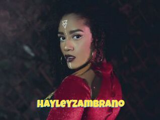 Hayleyzambrano