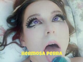 Hermosa_perra