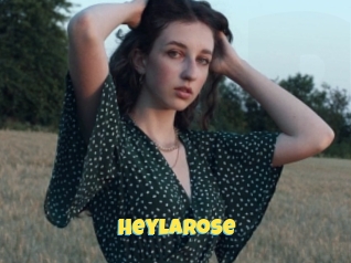 Heylarose