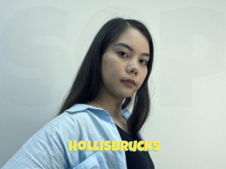Hollisbrucks