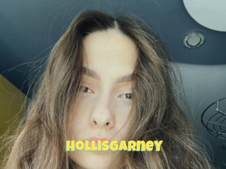 Hollisgarney