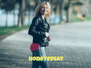 Honeyedcat