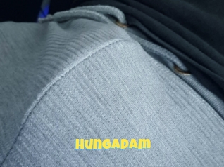 Hungadam