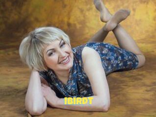 Ibirdt