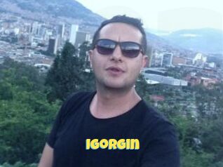 IgorGin