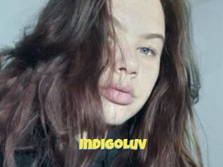 IndigoLuv
