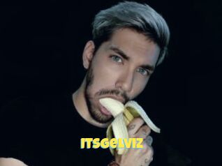 Itsgelviz