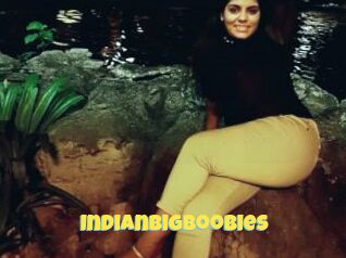 Indianbigboobies