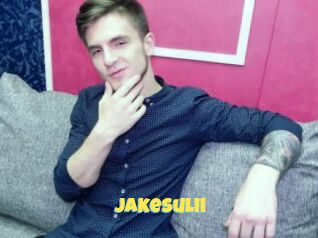 JakeSulii