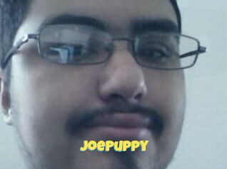 JoePuppy