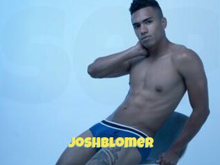 JoshBlomer Sexe et Porno