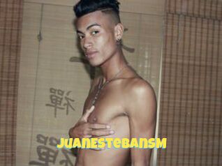 JuanEstebanSM