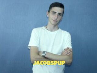 Jacobspup