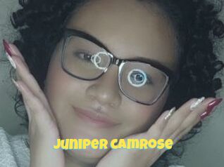 Juniper_camrose